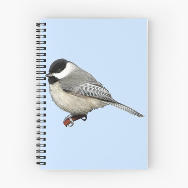 Item preview, Carolina Chickadee designed and sold by kyra0nicole.