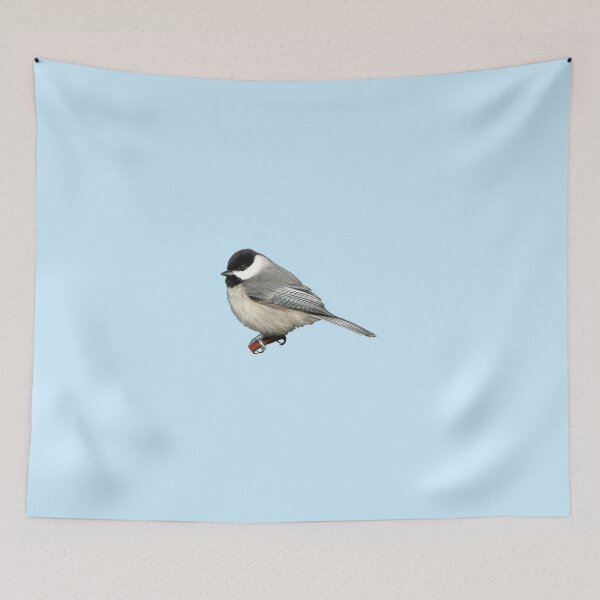Item preview, Carolina Chickadee designed and sold by kyra0nicole.