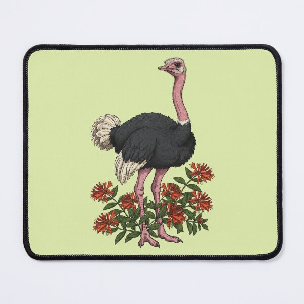 Item preview, Vintage Ostrich and Honeysuckle Botanical Art designed and sold by BirdsnStuff.