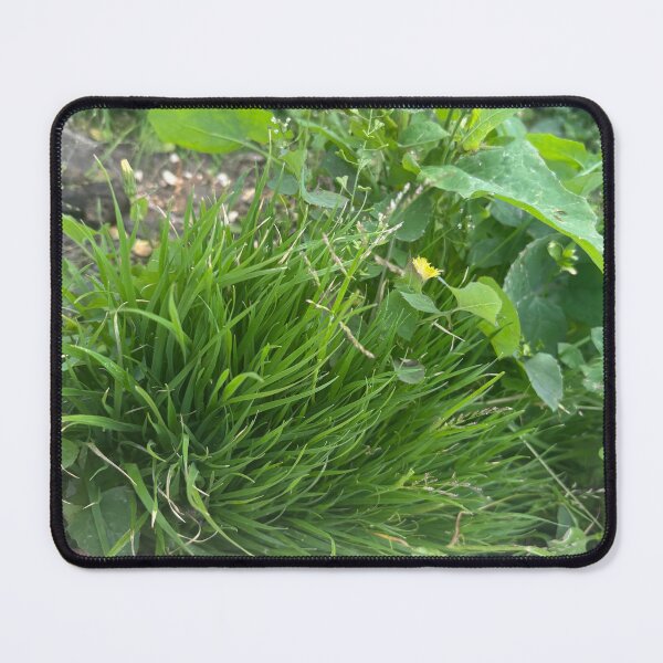 Item preview, Little World designed and sold by 55synonyms.