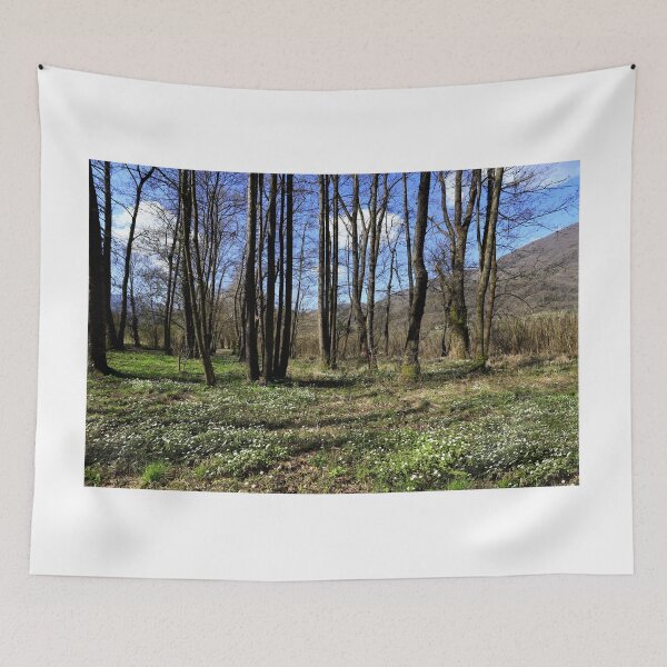 Item preview, Val Cavallina designed and sold by annalisa56.