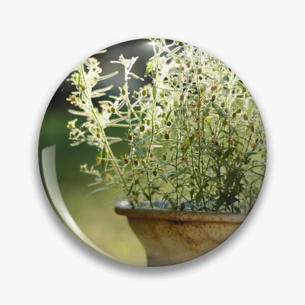 Item preview, Sunlit Stillness designed and sold by camerahappy.