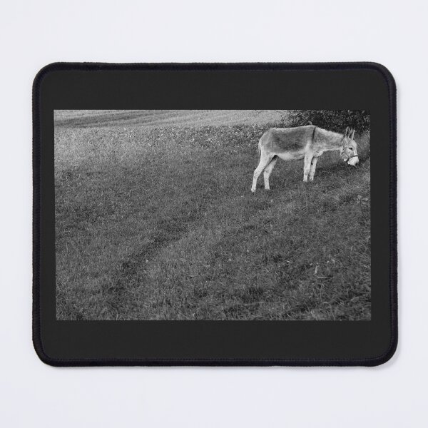 Item preview, Donkey designed and sold by ChiaraPagani.