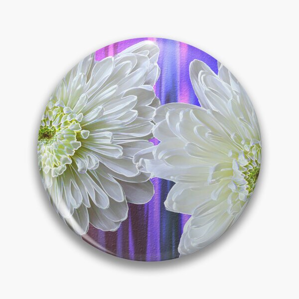 Item preview, White Chrysanthemum Against Colorful Background designed and sold by BostonArcImage.