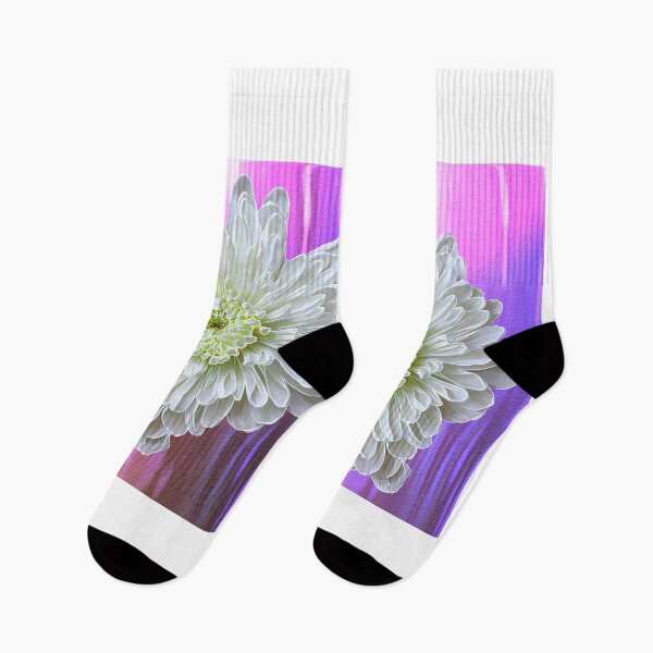 Item preview, White Chrysanthemum Against Colorful Background designed and sold by BostonArcImage.