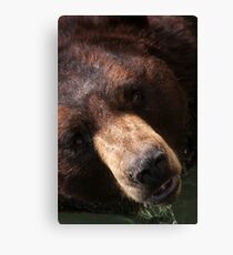 Winnie The Pooh Canvas Print