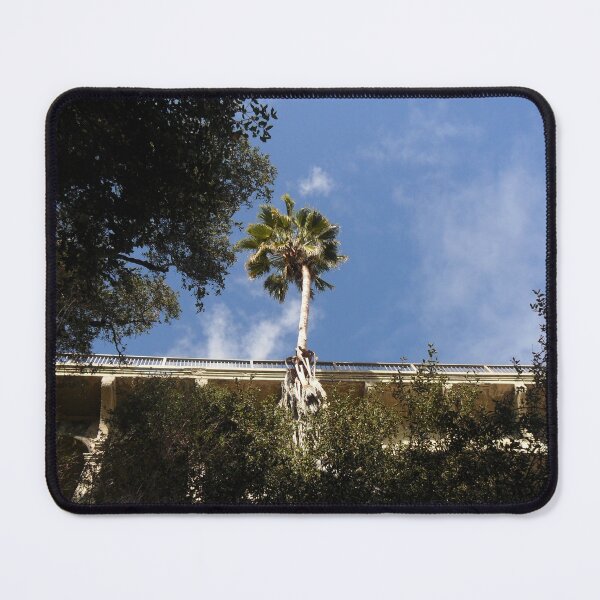 Item preview, Palm Tree and the Colorado Street Bridge designed and sold by SCTBUFFALOPHOTO.