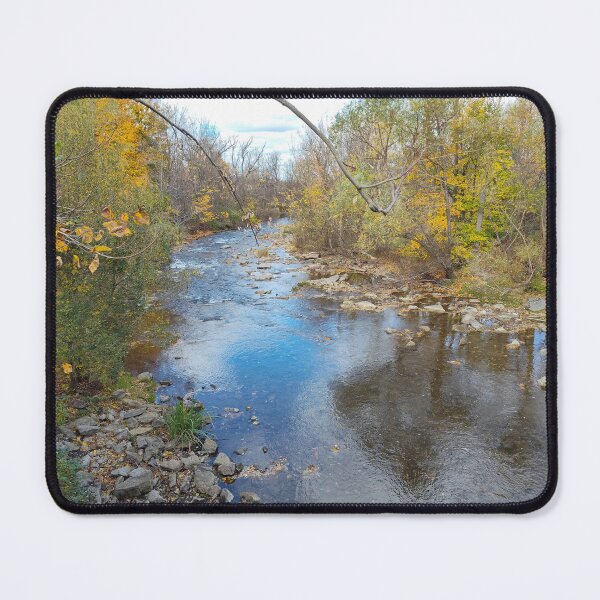 Item preview, Gliding Reflections designed and sold by SCTBUFFALOPHOTO.