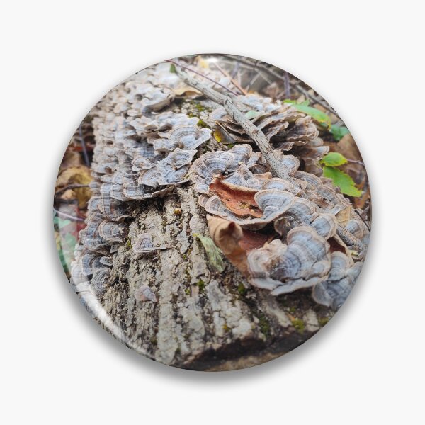 Item preview, Barnacle Tree Log designed and sold by SCTBUFFALOPHOTO.