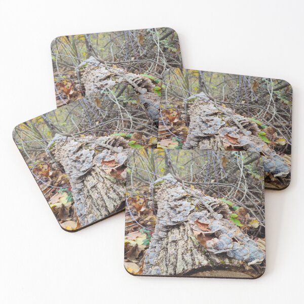 Item preview, Barnacle Tree Log designed and sold by SCTBUFFALOPHOTO.