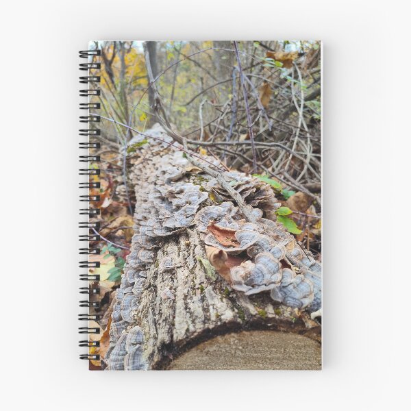Item preview, Barnacle Tree Log designed and sold by SCTBUFFALOPHOTO.