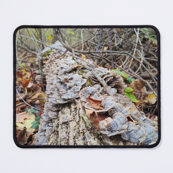 Item preview, Barnacle Tree Log designed and sold by SCTBUFFALOPHOTO.