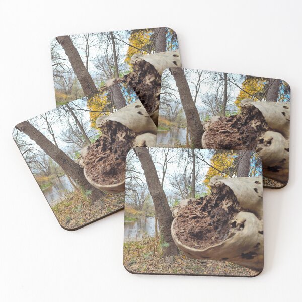 Item preview, Juxtposition of Decay and Life designed and sold by SCTBUFFALOPHOTO.
