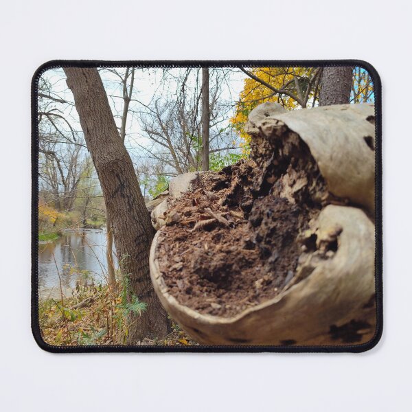 Item preview, Juxtposition of Decay and Life designed and sold by SCTBUFFALOPHOTO.