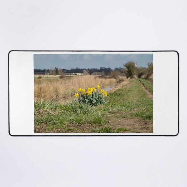 Item preview, Wild daffodils growing on the river bank designed and sold by yackers1.