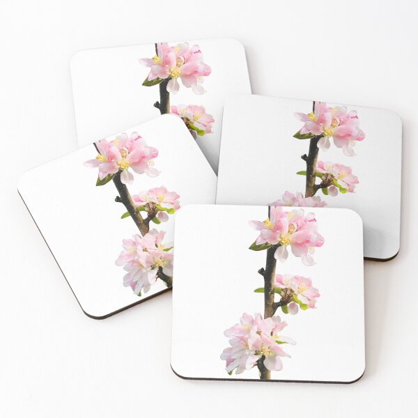 Item preview, Kiwi Garden Apple Blossom in Spring designed and sold by Studio Origins NZ (SO NZ).
