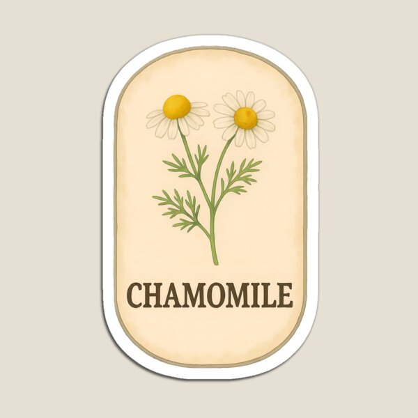 Item preview, Vintage Botanical Herb and Spice Prints: Chamomile designed and sold by PinUpPizzazz.