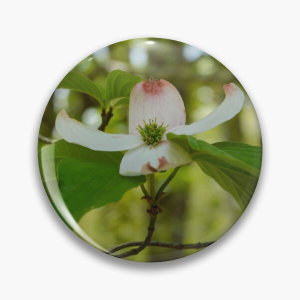 Item preview, ​Nature’s Promise: White Dogwood in the Ozark Foothills designed and sold by Blossom-Breeze.