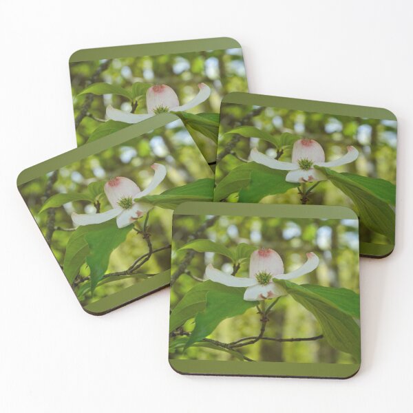 Item preview, ​Nature’s Promise: White Dogwood in the Ozark Foothills designed and sold by Blossom-Breeze.