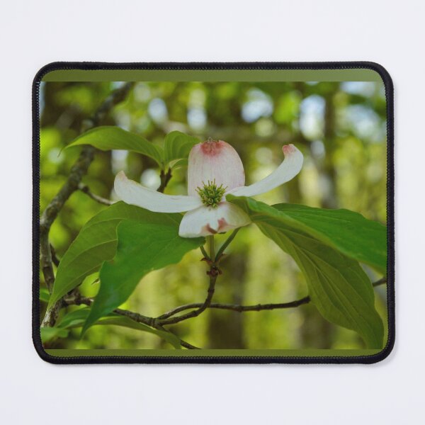 Item preview, ​Nature’s Promise: White Dogwood in the Ozark Foothills designed and sold by Blossom-Breeze.