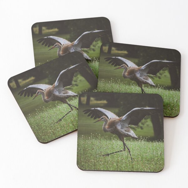Item preview, Juvenile Sandhill Crane designed and sold by Whimsyhollows.