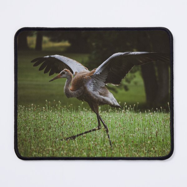 Item preview, Juvenile Sandhill Crane designed and sold by Whimsyhollows.