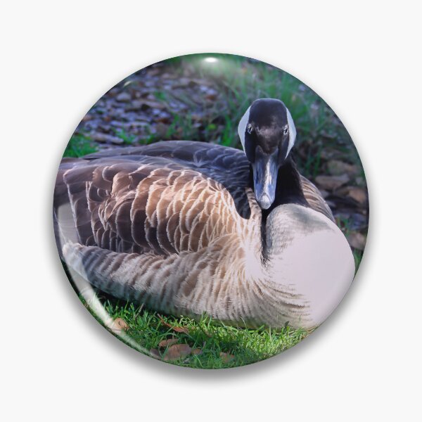 Item preview, Take My Photo, Then Please Leave! designed and sold by heatherfriedman.