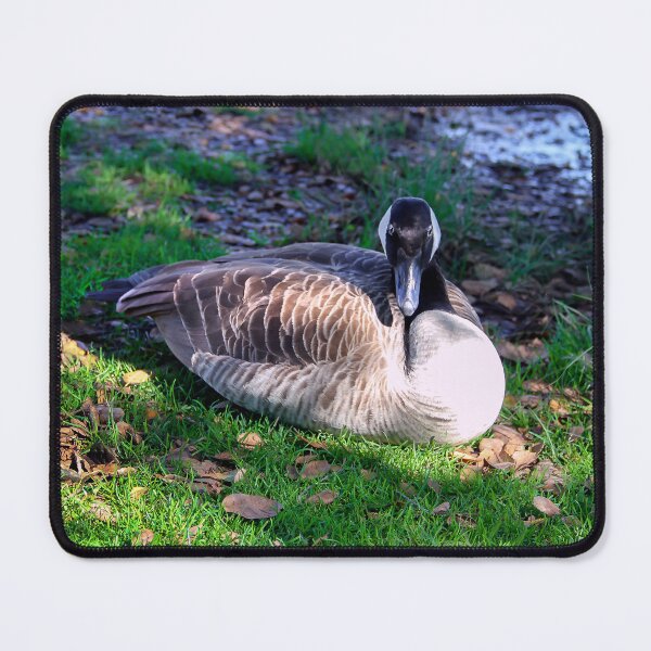 Item preview, Take My Photo, Then Please Leave! designed and sold by heatherfriedman.