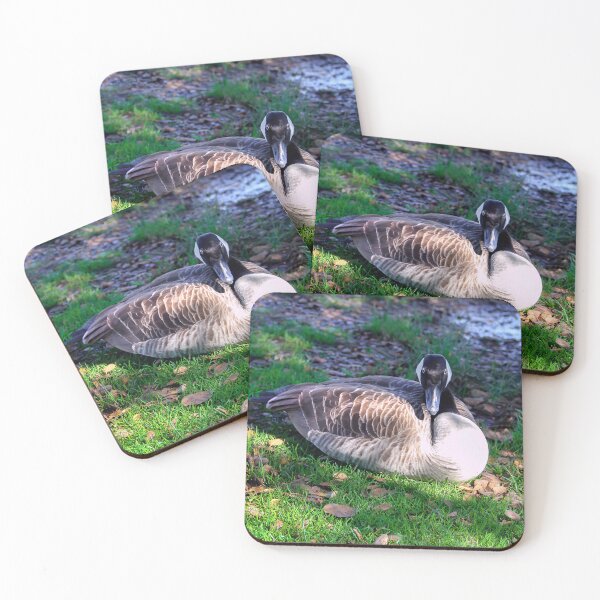 Item preview, Take My Photo, Then Please Leave! designed and sold by heatherfriedman.