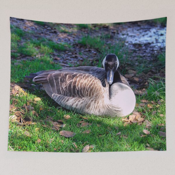Item preview, Take My Photo, Then Please Leave! designed and sold by heatherfriedman.
