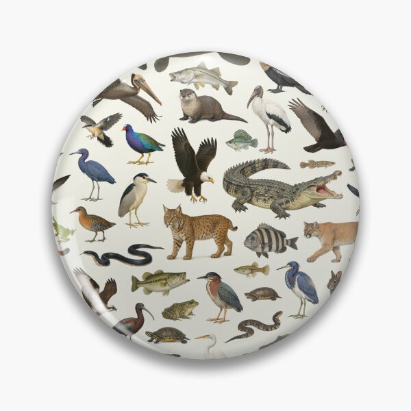 Item preview, Animals of the Florida Everglades Wildlife Identification Chart designed and sold by kakarikihill.