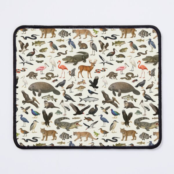 Item preview, Tabla de identificación de la fauna de los Everglades de Florida designed and sold by kakarikihill.