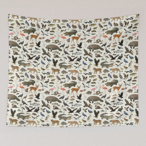 Item preview, Animals of the Florida Everglades Wildlife Identification Chart designed and sold by kakarikihill.