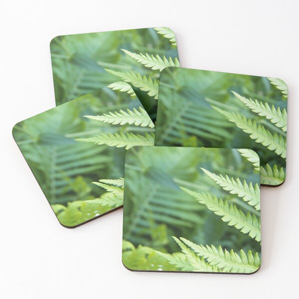 Item preview, Fern and Focus designed and sold by coribeth.