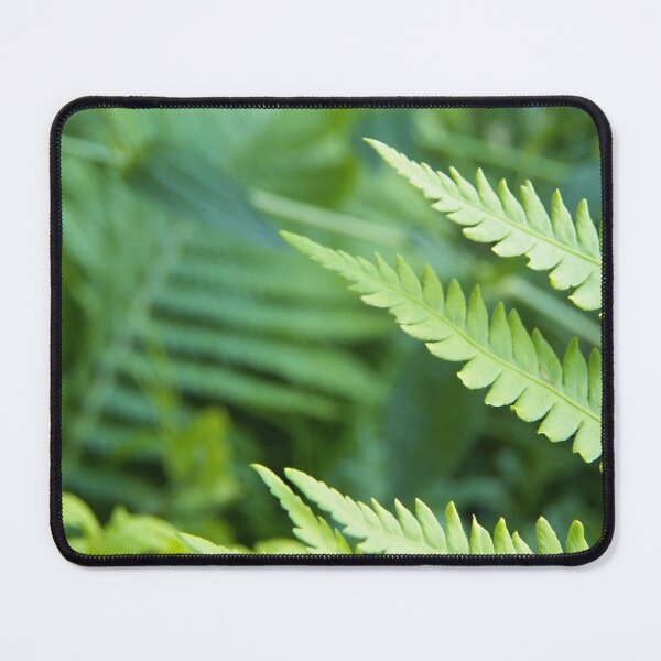 Item preview, Fern and Focus designed and sold by coribeth.