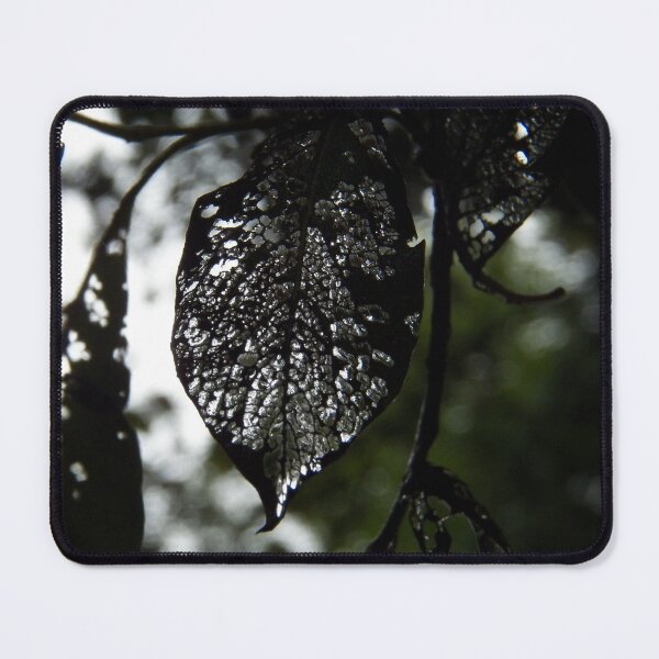 Item preview, Beauty in the Dark designed and sold by coribeth.
