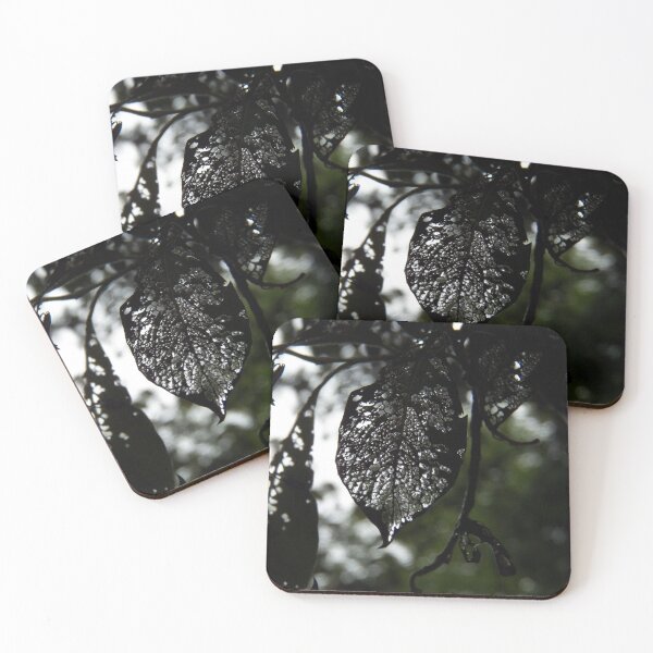Item preview, Beauty in the Dark designed and sold by coribeth.