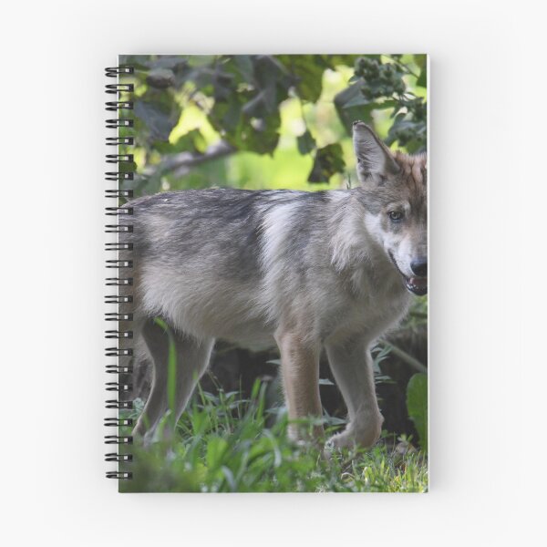 Item preview, Wolf Pup designed and sold by Kim Pruim.