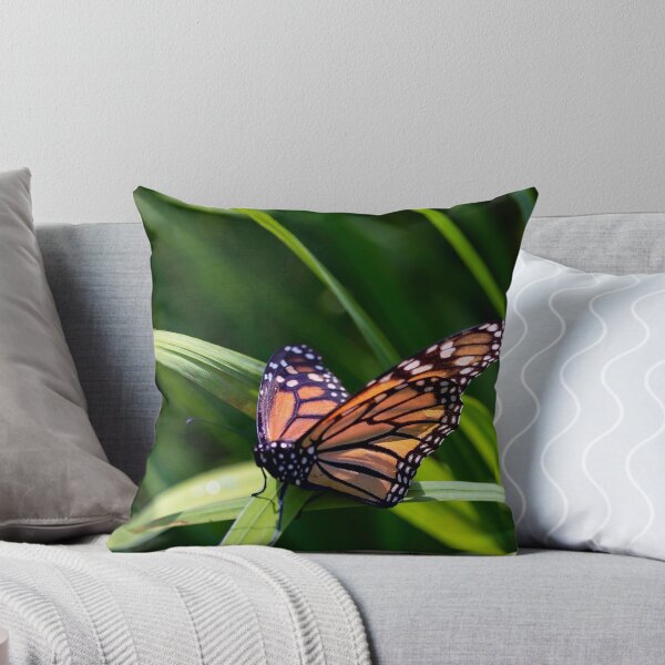 Item preview, Monarch Butterfly designed and sold by KPcaptures.