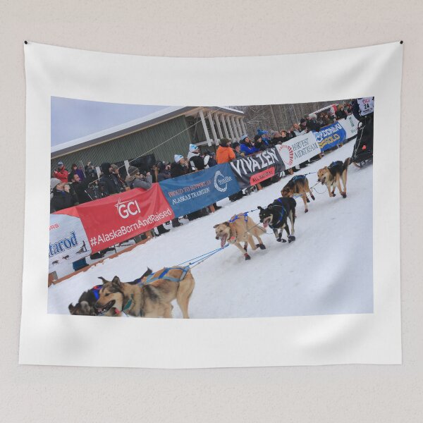 Item preview, Sled dogs of Iditarod 2026 designed and sold by zumi.