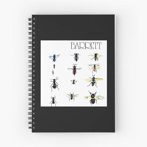 Item preview, Syd Barrett - Barrett designed and sold by TeoIsi.