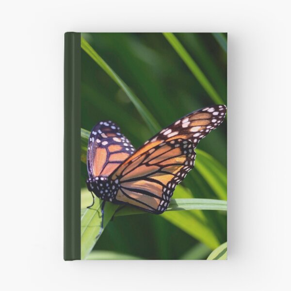 Item preview, Mariposa monarca designed and sold by KPcaptures.