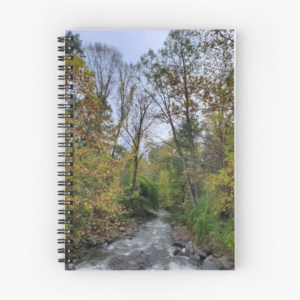 Artikelvorschau, Bach im Fillmore Glen State Park entworfen und verkauft von AspectsofHome.