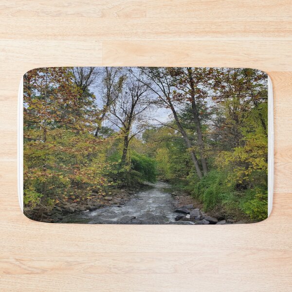 Item preview, Fillmore Glen State Park Stream designed and sold by AspectsofHome.