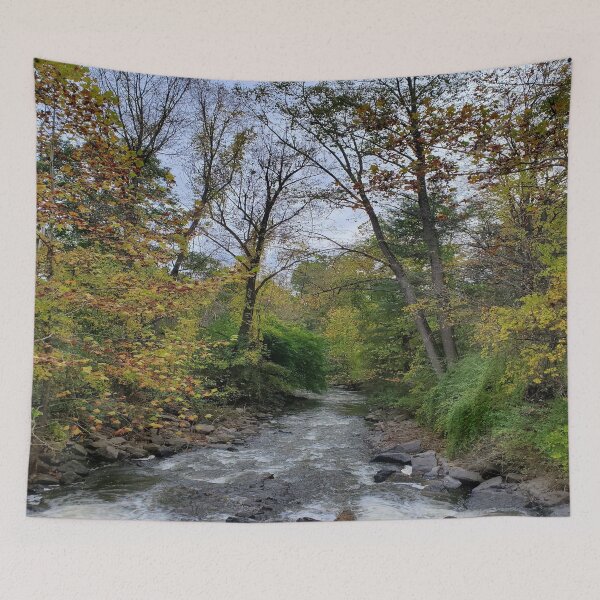 Item preview, Fillmore Glen State Park Stream designed and sold by AspectsofHome.