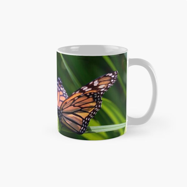 Aperçu de l'œuvre Papillon monarque créée et vendue par KPcaptures.
