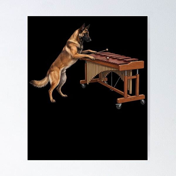 Item preview, Belgian Malinois Playing Marimba Player Marimbist Dog Lover designed and sold by TerryConnells.