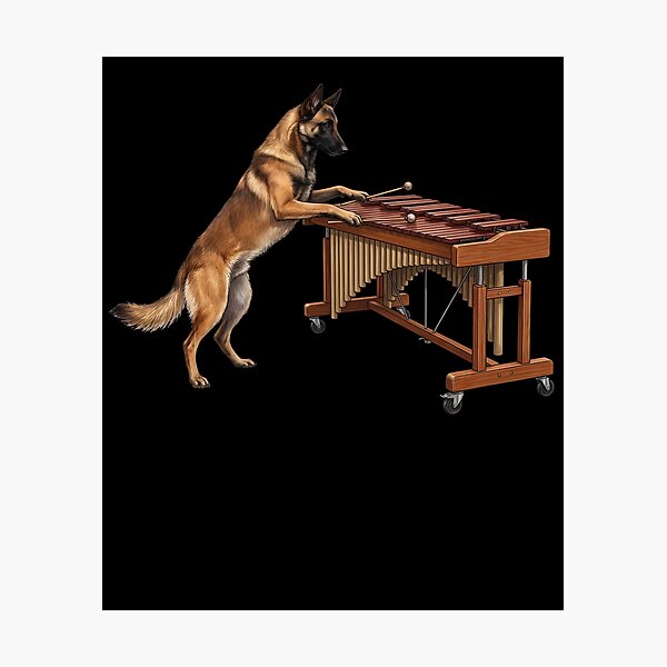 Item preview, Belgian Malinois Playing Marimba Player Marimbist Dog Lover designed and sold by TerryConnells.