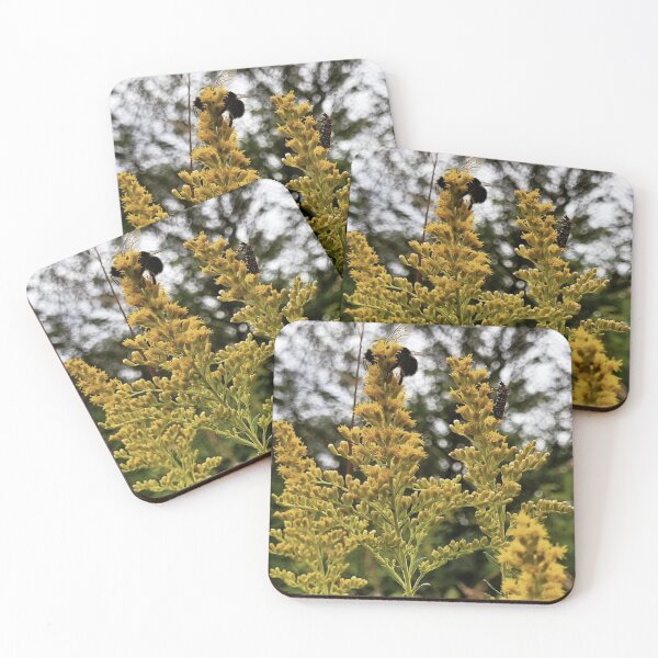 Item preview, Pollinators' Pause designed and sold by Glasswings & Clover.