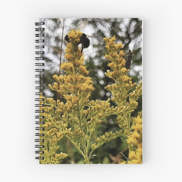 Item preview, Pollinators' Pause designed and sold by Glasswings & Clover.